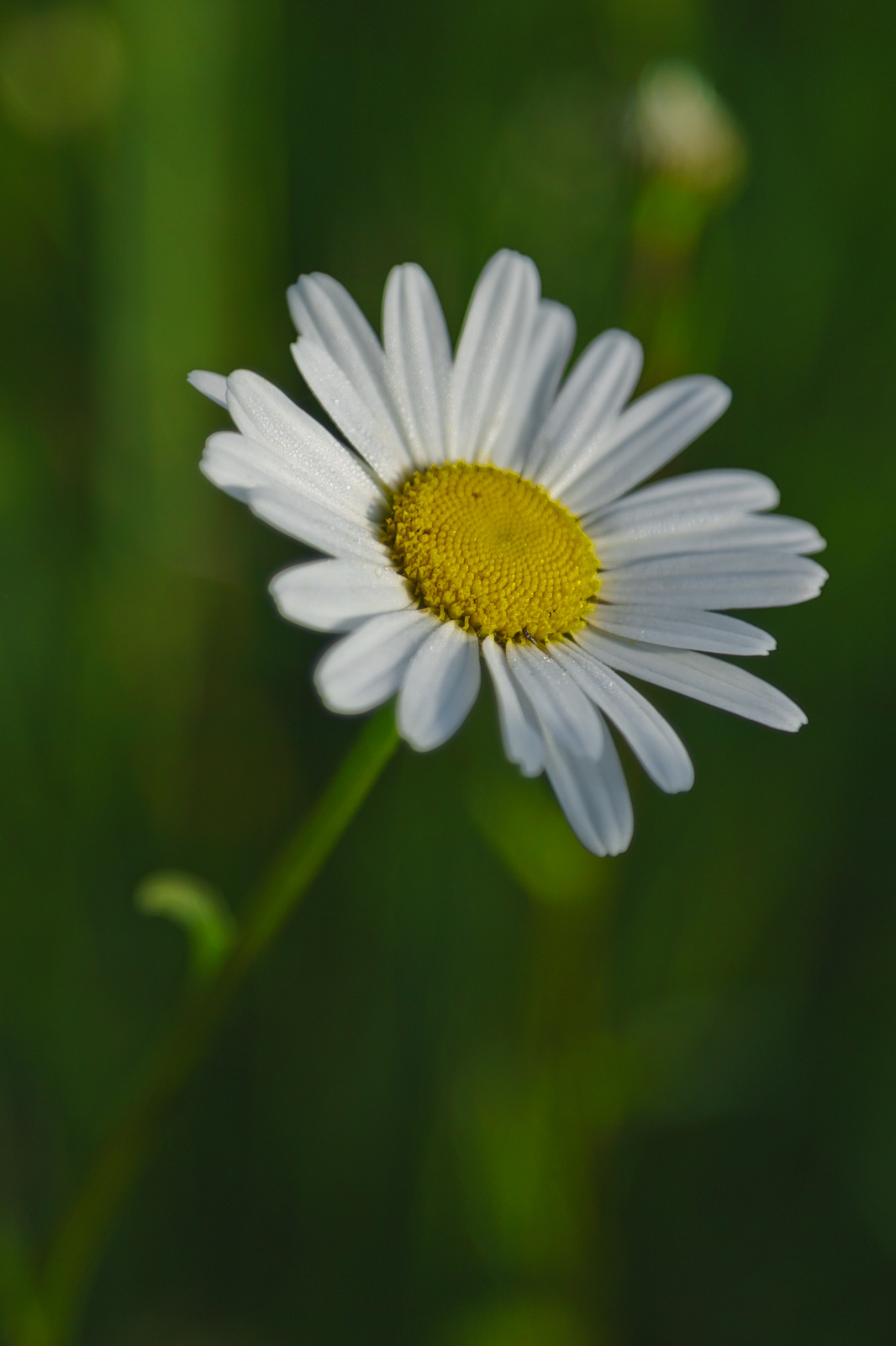 20DU7519   Arbeitskopie 2